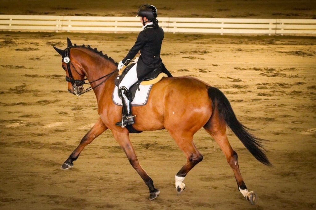 ともに駆ける ともに歩む 馬術 高等部 吉田 友里恵さん アオガクプラス