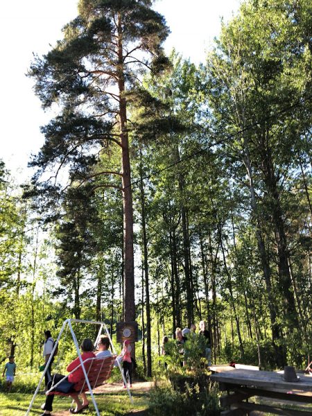 5_relaxing_people_in_festival